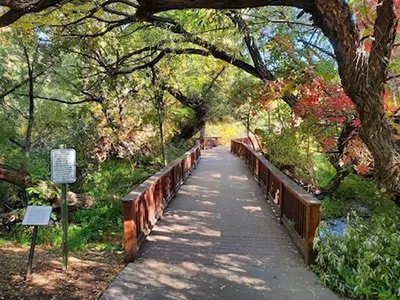 Rancho San Rafael Regional Park
